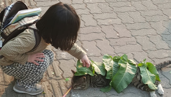 애니멀플래닛