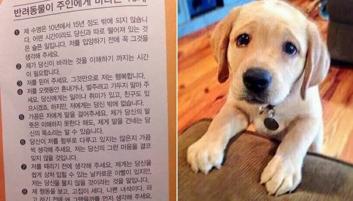 애니멀플래닛