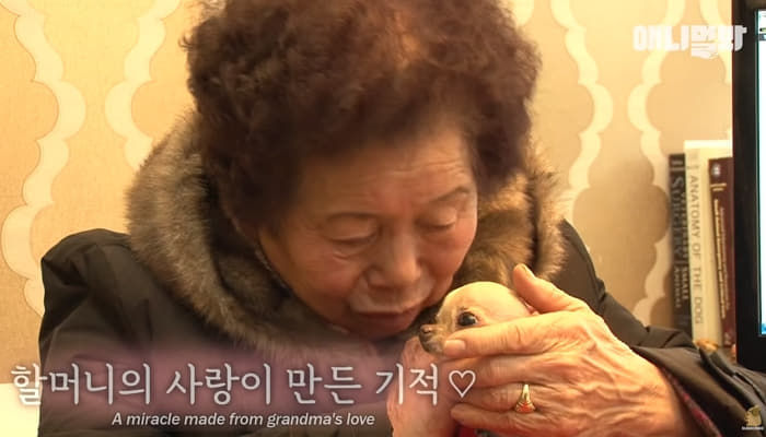 애니멀플래닛