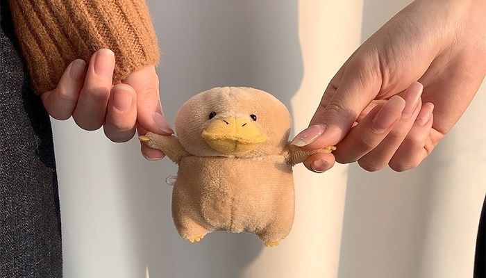 애니멀플래닛