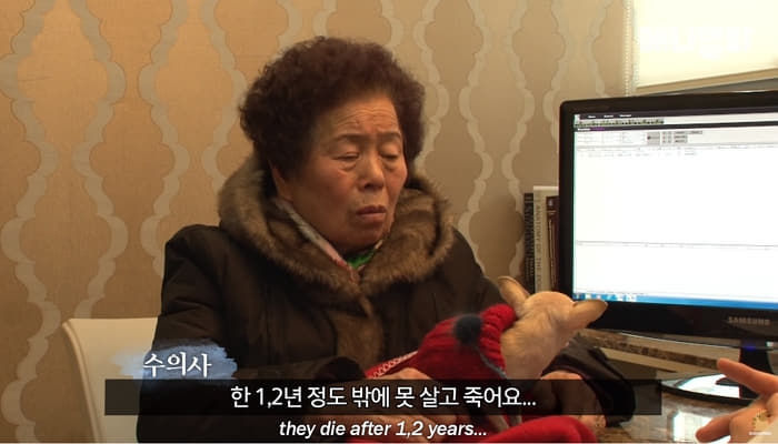 애니멀플래닛