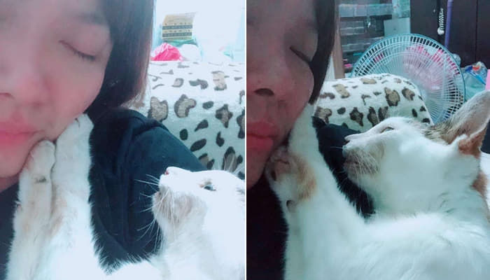애니멀플래닛