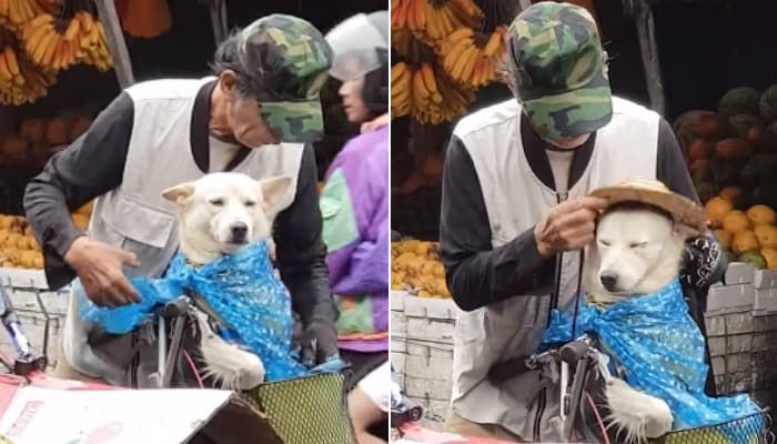 買い物に出かけたが 雨が降ると犬の雨具と帽子から先に着せてくれるおじいさん