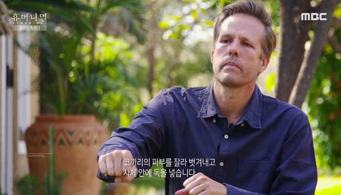 애니멀플래닛