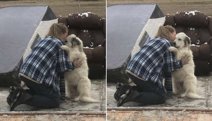 残して行ってごめんね 強力な竜巻のために生き別れになった犬を再開して号泣する飼い主