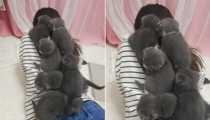 애니멀플래닛