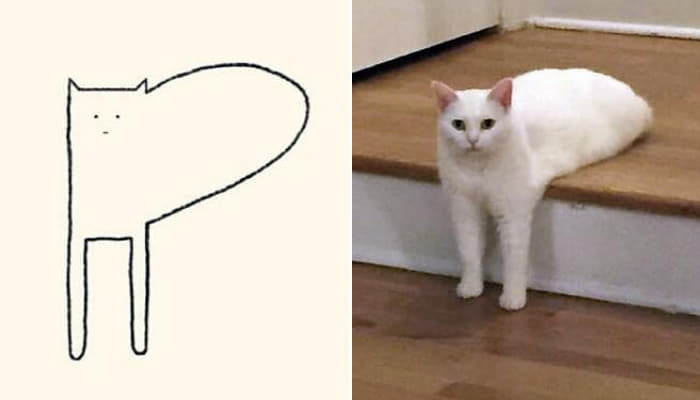 애니멀플래닛
