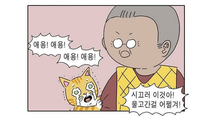 애니멀플래닛