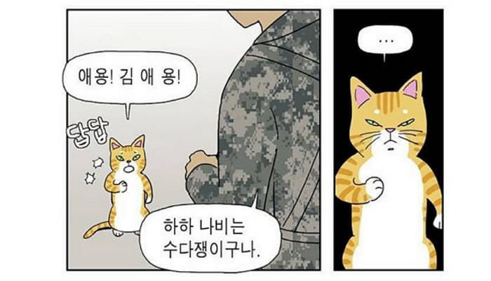 애니멀플래닛