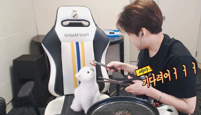 애니멀플래닛