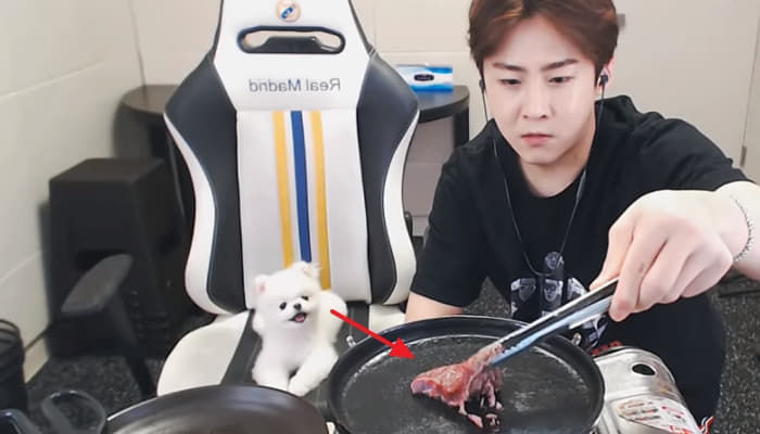 애니멀플래닛