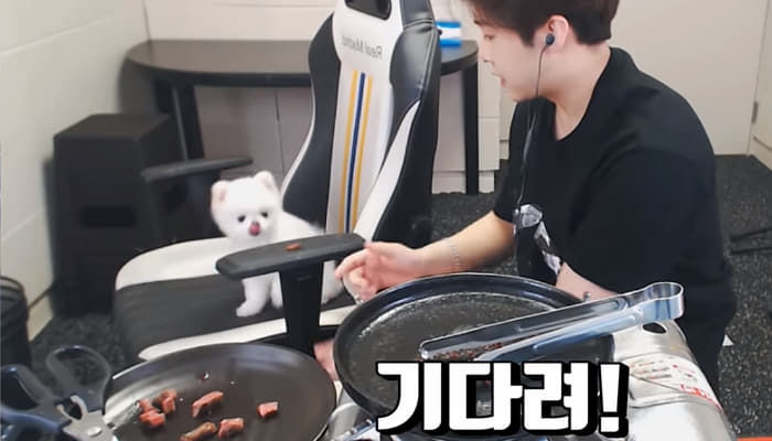 애니멀플래닛
