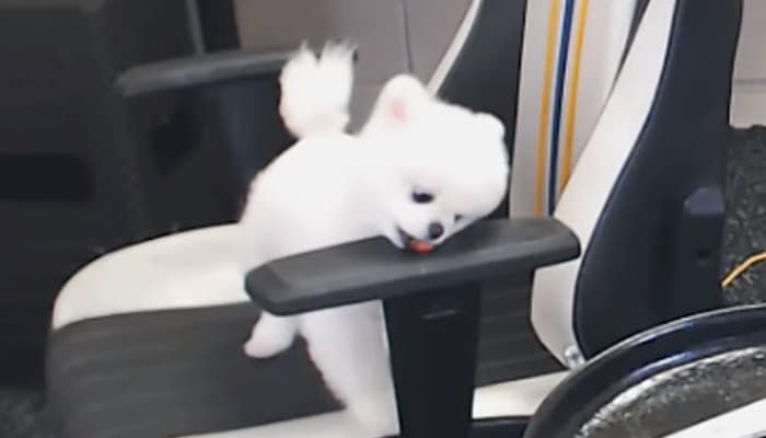 애니멀플래닛