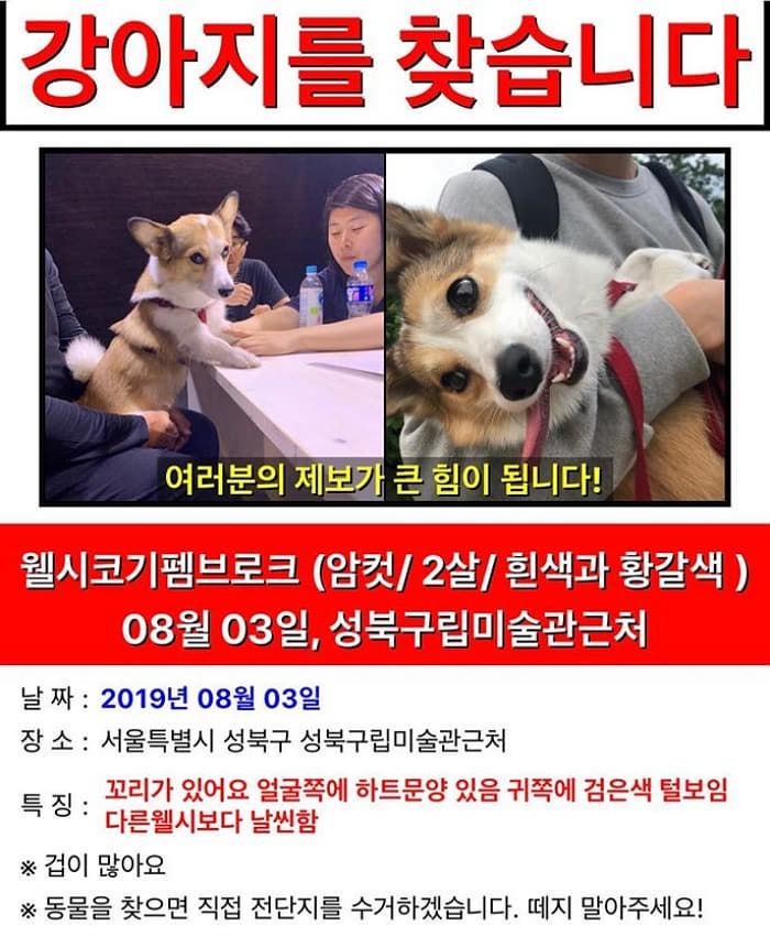 애니멀플래닛