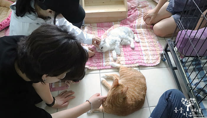 애니멀플래닛