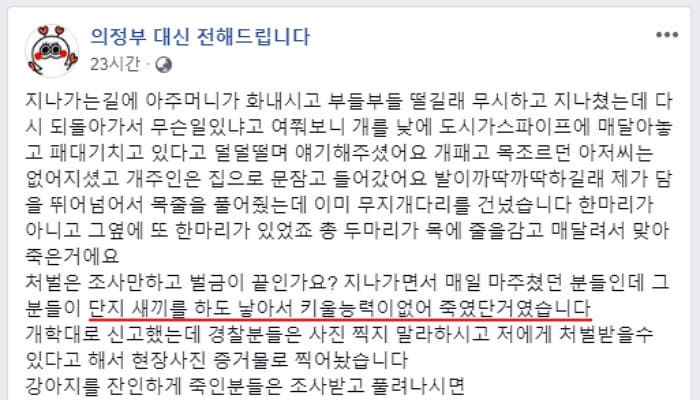 애니멀플래닛