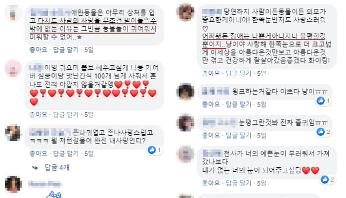 애니멀플래닛