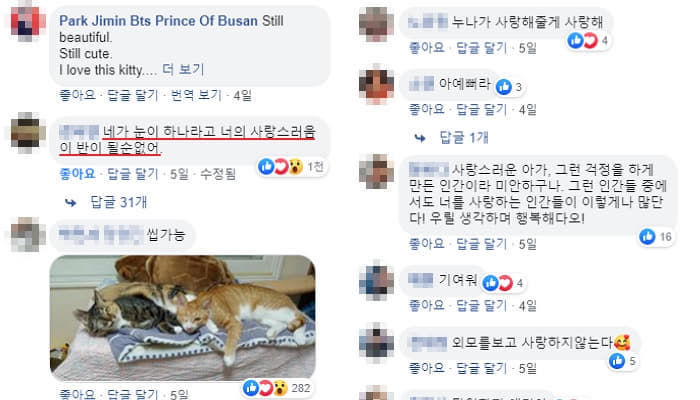 애니멀플래닛