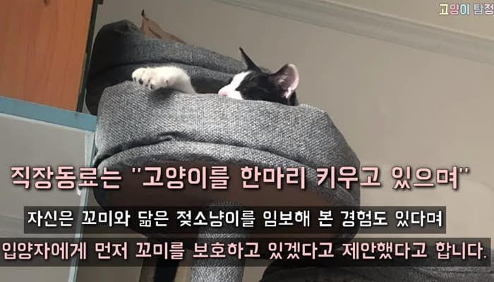 애니멀플래닛