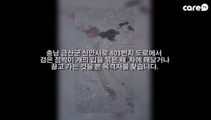 애니멀플래닛