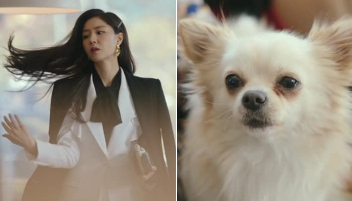 애니멀플래닛