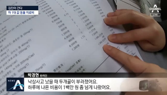 애니멀플래닛