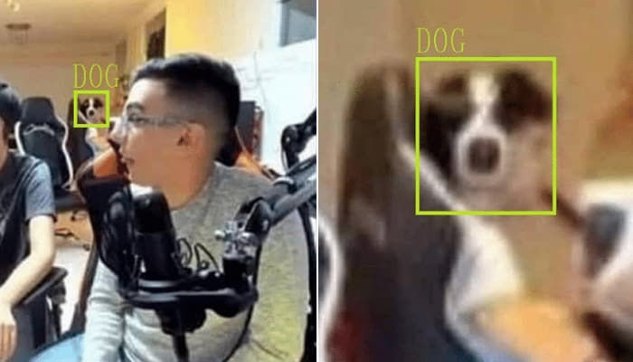 애니멀플래닛
