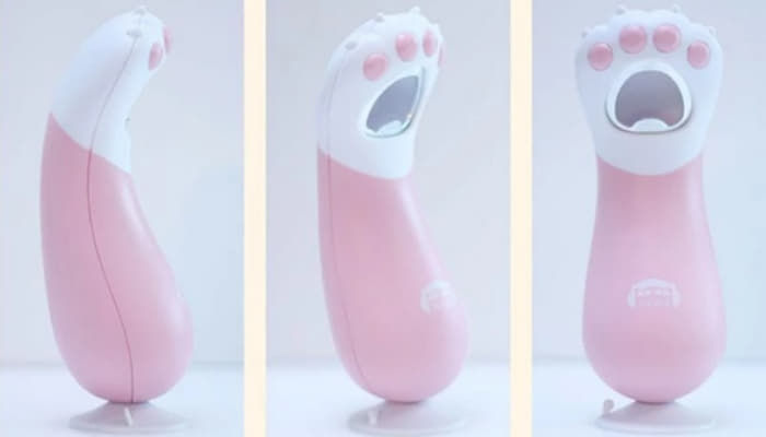 애니멀플래닛