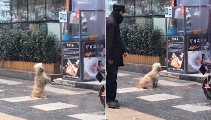 애니멀플래닛
