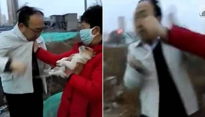 애니멀플래닛