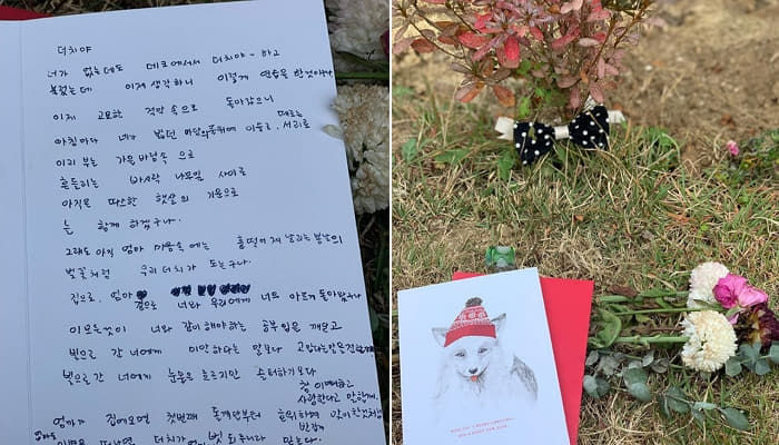 애니멀플래닛