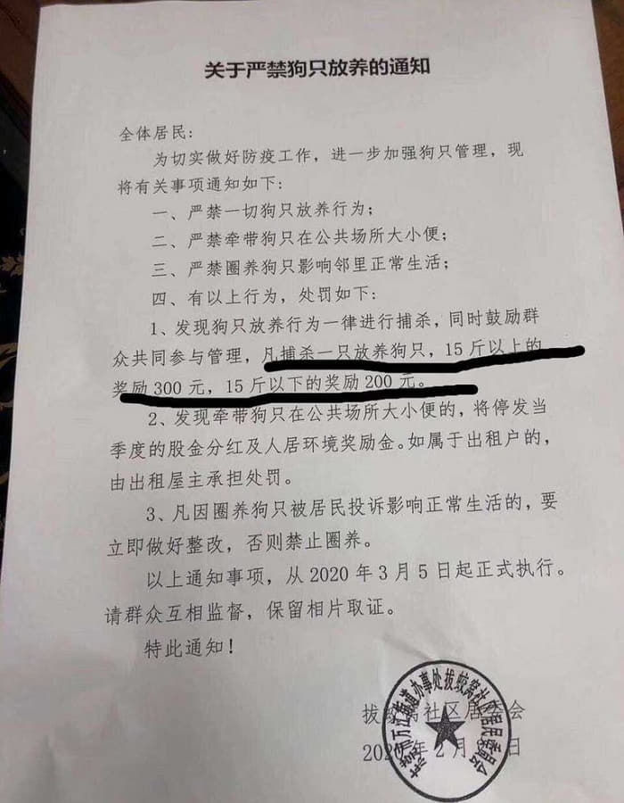 애니멀플래닛