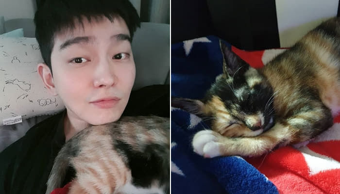 애니멀플래닛