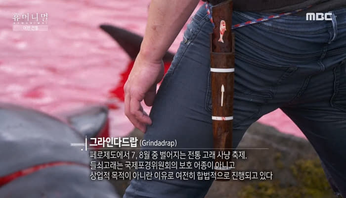 애니멀플래닛