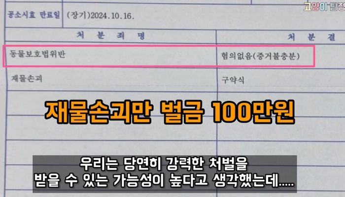 애니멀플래닛