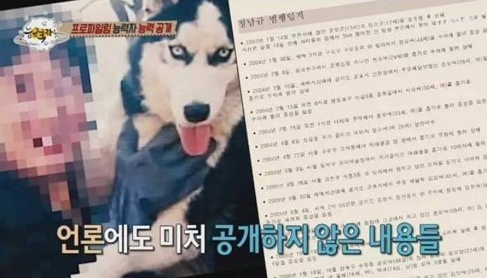 애니멀플래닛