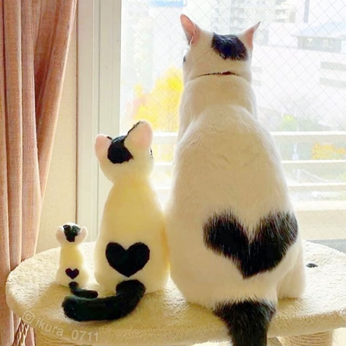 애니멀플래닛