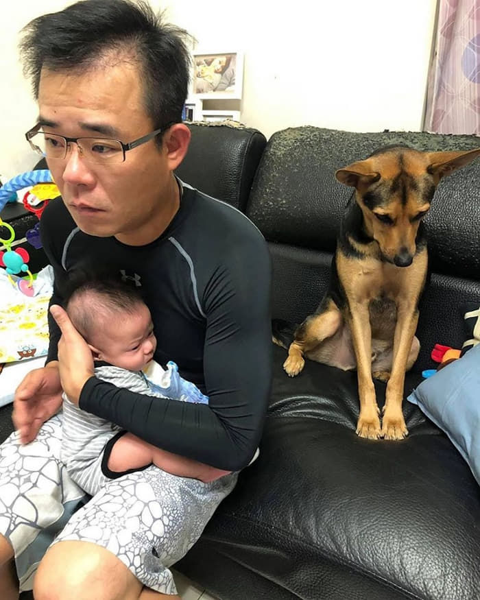 애니멀플래닛