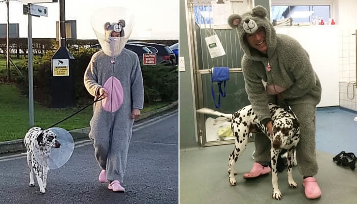 手術を前にして怖すぎてぶるぶる震える犬のために 動物パジャマ を着て診療する天使の獣医