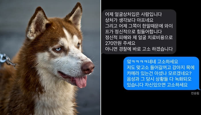 애니멀플래닛