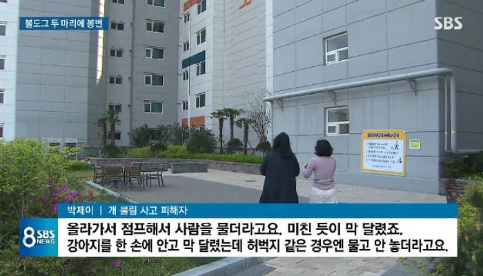 애니멀플래닛