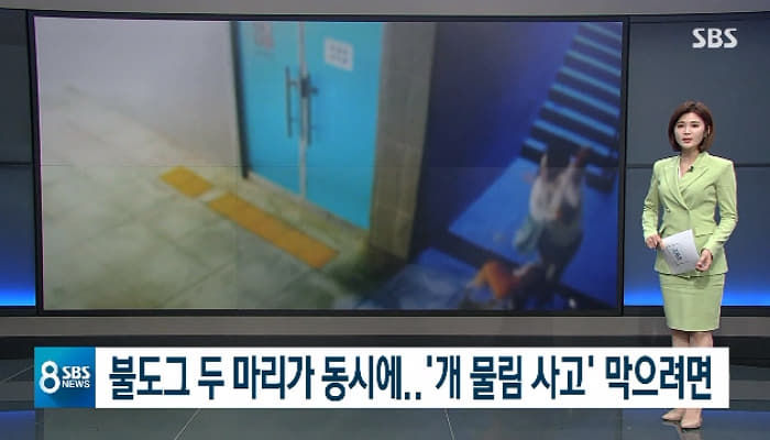 애니멀플래닛