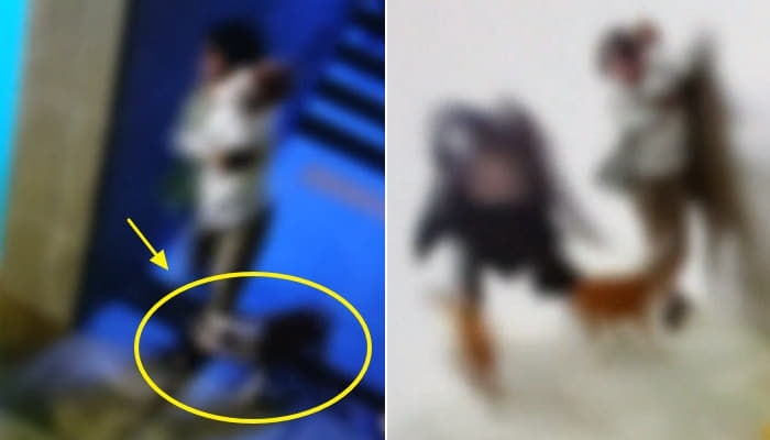 애니멀플래닛