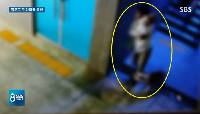 애니멀플래닛