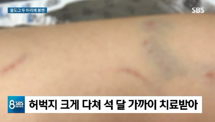 애니멀플래닛