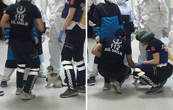 애니멀플래닛