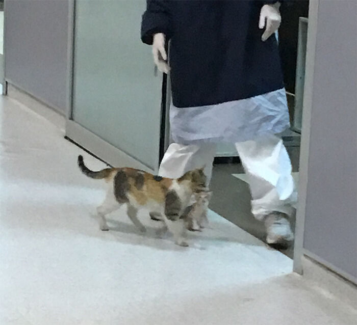 애니멀플래닛