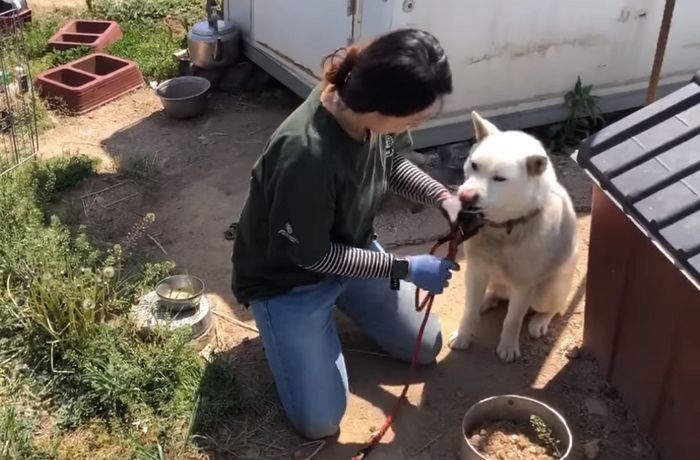 애니멀플래닛