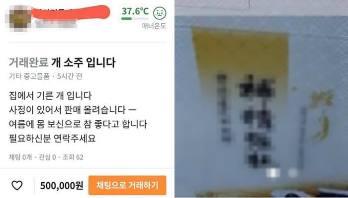 애니멀플래닛