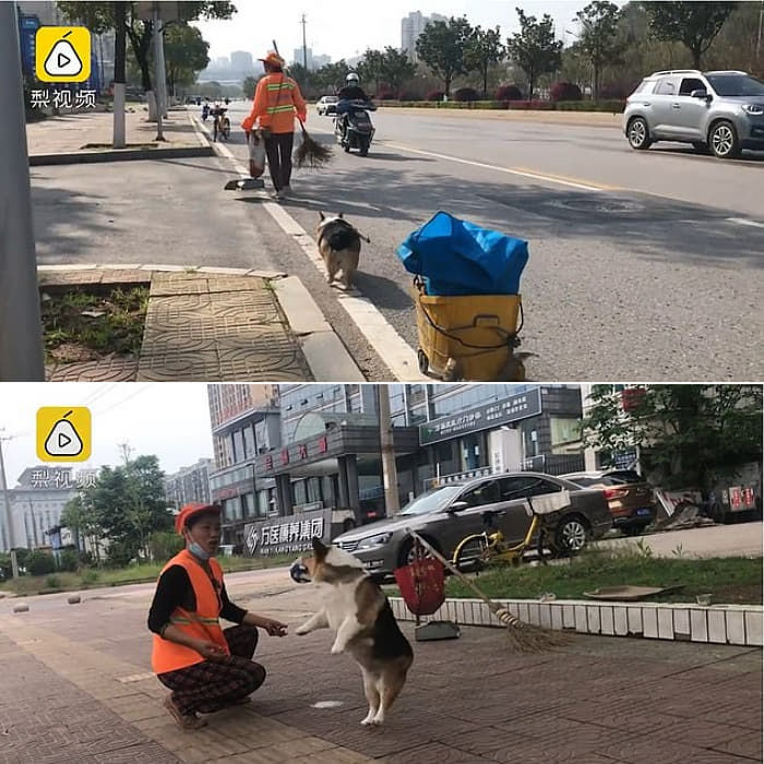 애니멀플래닛